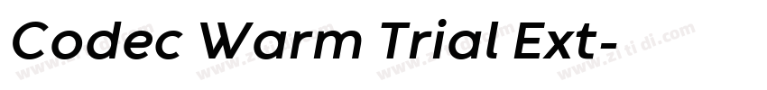 Codec Warm Trial Ext字体转换